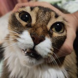 Telegram profile photo for Сергей