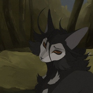 Telegram profile photo for Muddy swamp (рест)