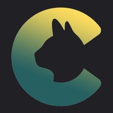 Telegram profile photo for Crypto Cat🐱