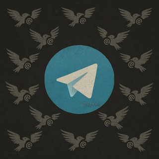 Telegram profile photo for Bixby Store 🗽