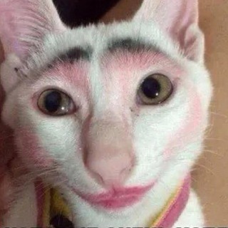 Telegram profile photo for Циничный косметолог💉😹