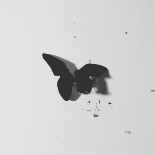 Telegram profile photo for pavlovian ⅔⁶ | Pavlova Anna