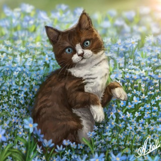 Telegram profile photo for SunTriny