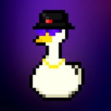 Telegram profile photo for TON Ducks 💎 FA