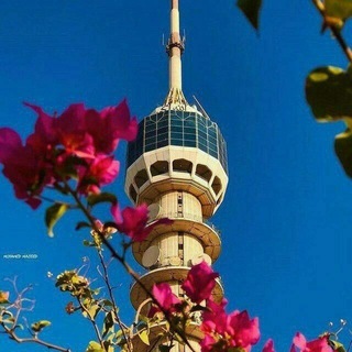 Telegram profile photo for سقيا للفؤاد ||"🌿