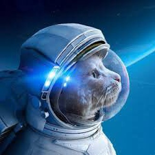 Telegram group profile photo for ШиШи - чатик