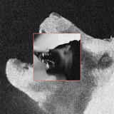 Telegram profile photo for @ Usurp