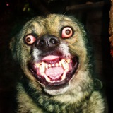 Telegram profile photo for cricracrykapital мудило