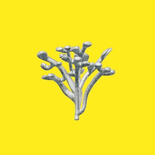 Telegram profile photo for W.O.C.