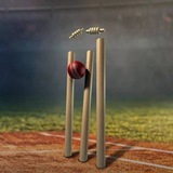 Telegram profile photo for Wicket not Cricket