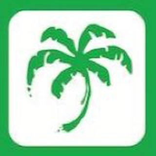 Telegram profile photo for «Лето» - Центр пляжных видов спорта