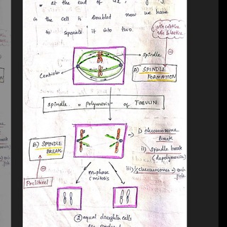 Telegram profile photo for Pharmacology notes