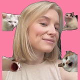 Telegram profile photo for NO REELS PLS (ШАБЛОНЫ МЕМОВ)