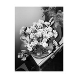 Telegram profile photo for (I. 20:21) Archives ── Charm.