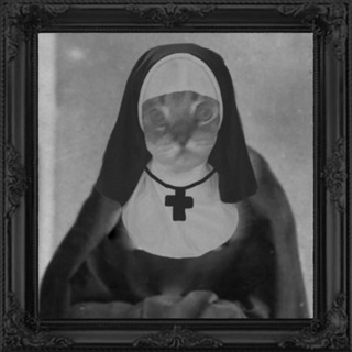 Telegram profile photo for CULT CAT PORTAL ✟