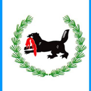 Telegram profile photo for Иркутск / Новости -Политика Иркутска
