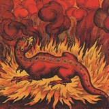 Telegram profile photo for Salamandra books