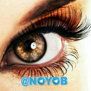 Telegram profile photo for 🔸 NOYOB 🔸