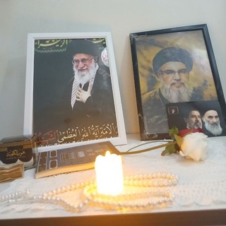 Telegram profile photo for د.محمد جعفر الغريفي الخطيب(طبيب المعارف)