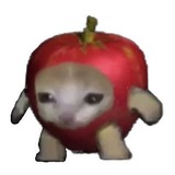 Telegram profile photo for Всякая фигня от Раф| И ЯБЛОКО