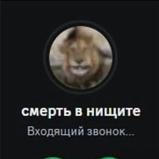Telegram profile photo for нищета без блеска