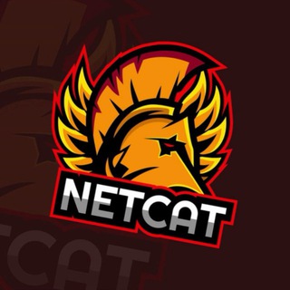 Telegram profile photo for netcat OPENUPS