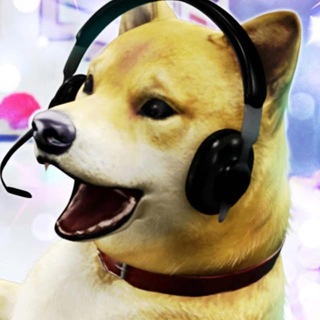 Telegram group profile photo for The Shitcoin Call Center