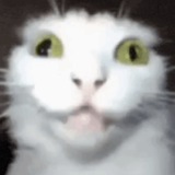 Telegram profile photo for МЫСЛИ СЕРГЕЯ КУКА