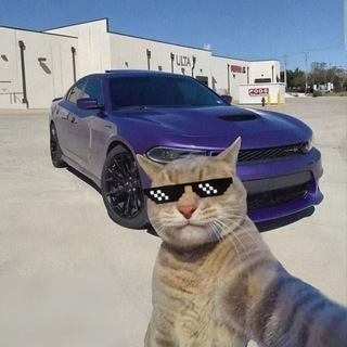 Telegram profile photo for Only me..