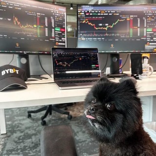 Telegram profile photo for Bybit Dog