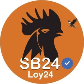 Telegram profile photo for SB24 K