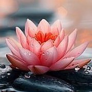 Telegram profile photo for ПроЯвление