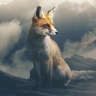 Telegram profile photo for Кветиапин и скрипка лиса