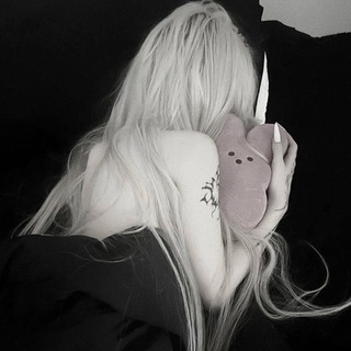 Telegram profile photo for Phantom