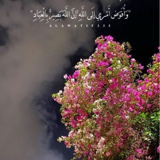 Telegram profile photo for ⚘️ الــجَــنــة ⚘️