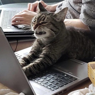 Telegram profile photo for Работа чат