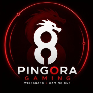 Telegram profile photo for Pingora WireGuard | خدمات DNS گیمینگ
