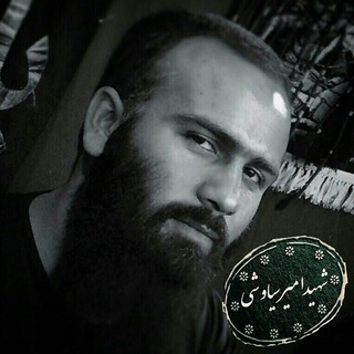 Telegram profile photo for امــــــــــیـــــــــــرسیــــــــــاوشـــی