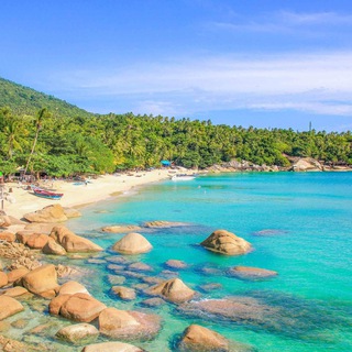 Telegram profile photo for Афиша||Панган/Самуи 🇹🇭