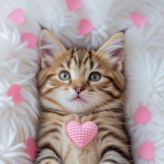 Telegram profile photo for Дети улицы 🇺🇦 Одесса 🐾