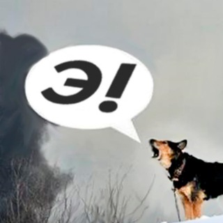 Telegram profile photo for Это чей чат-то?