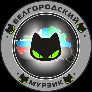 Telegram profile photo for Белгородский Мурзик Резерв