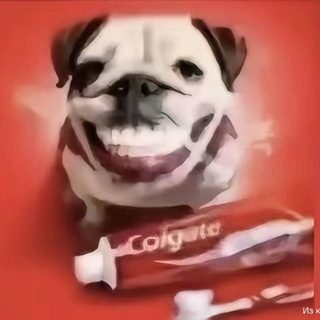 Telegram profile photo for ЗАМОРОЖЕНО | Деф сейнт
