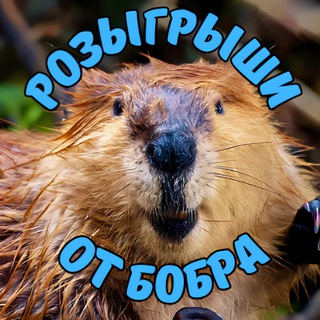 Telegram profile photo for Розыгрыши от Бобра Переходник