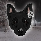 Telegram profile photo for ~Метиска Боня🐕🦺🌸