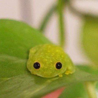 Telegram profile photo for Каракули от кеши