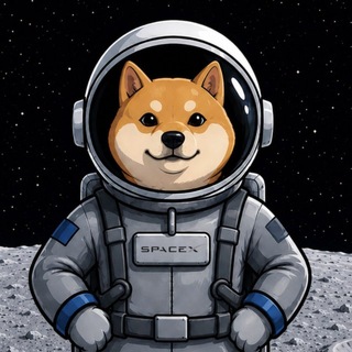 Telegram group profile photo for SPCXDOGE