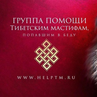 Telegram profile photo for ГРУППА ПОМОЩИ ТИБЕТСКИМ МАСТИФАМ