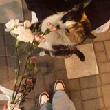 Telegram profile photo for بـيـنـنـا مـعـاد .