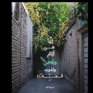 Telegram profile photo for سلامة القلب 🤍🌷